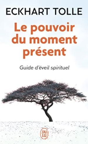 Le pourvoir du moment présent
