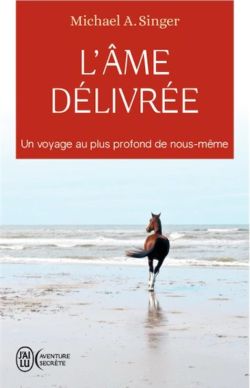 L'âme délivrée de Michael Singer
